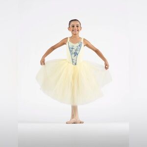 Beautiful Ballet Dress/Princess Costume